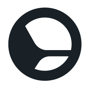 Levelpath logo